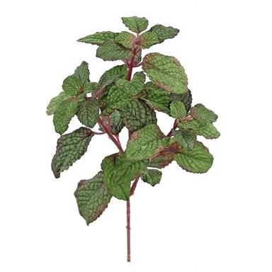 Mint Leaf Stem - Greenery & Floral - artifical mint leaf stem for floral arranging